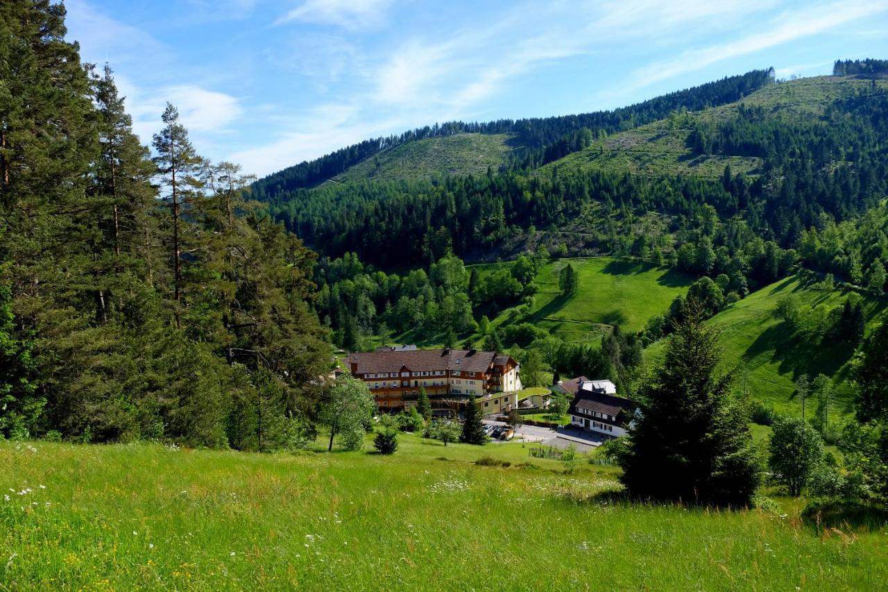Wellnesshotel Tanne Баїрсбронн Екстер'єр фото